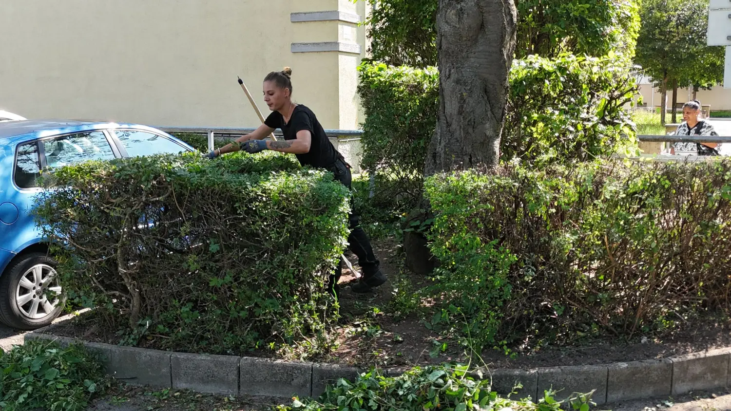 Gartenservice vom Dienstleistungsbetrieb Tanzillo