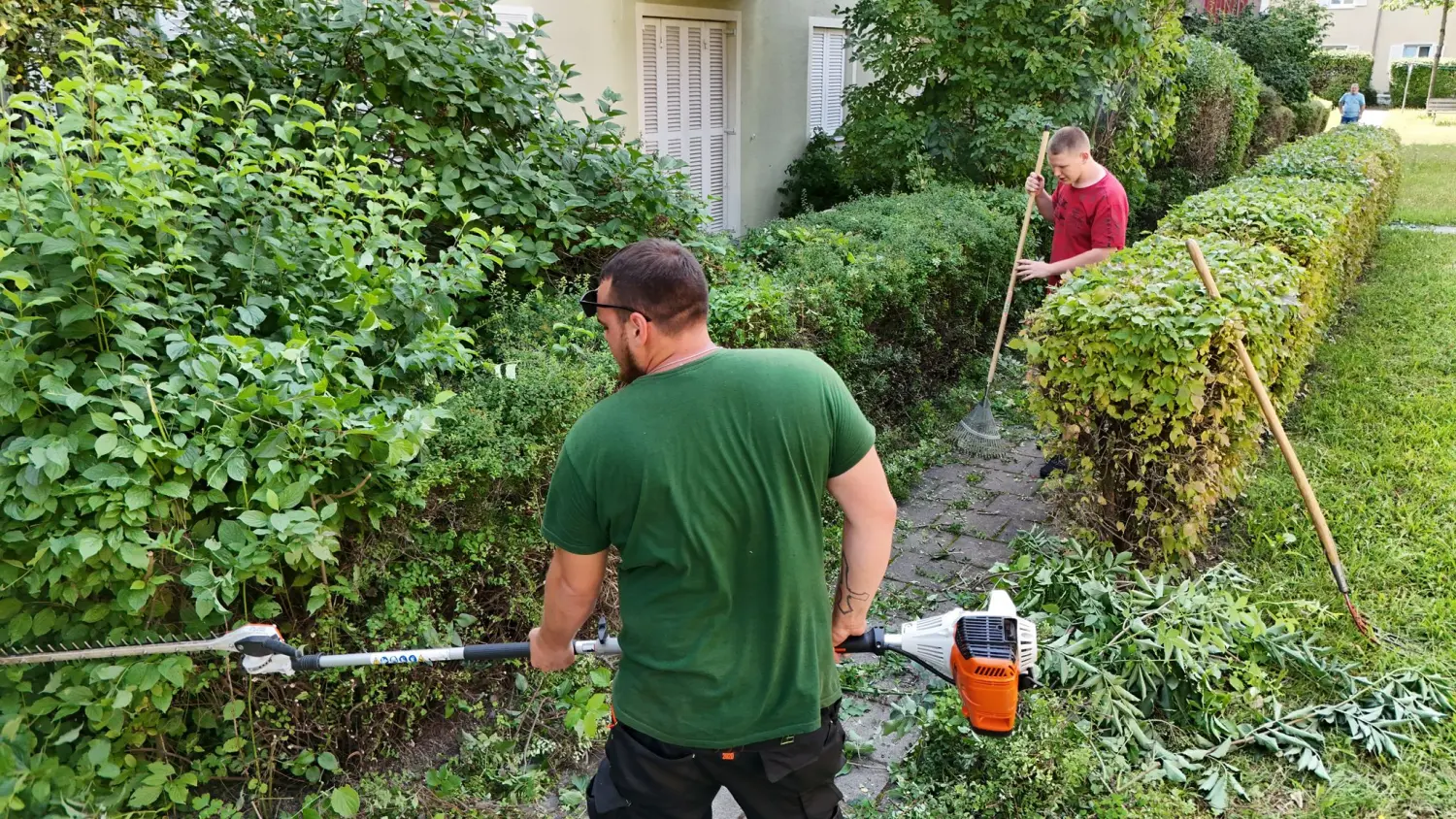 Gartenservice vom Dienstleistungsbetrieb Tanzillo