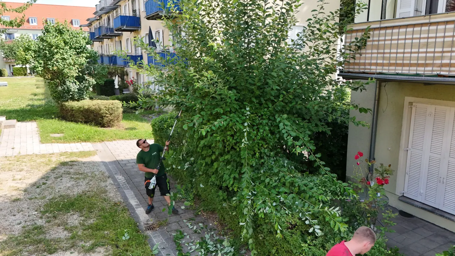 Gartenservice vom Dienstleistungsbetrieb Tanzillo